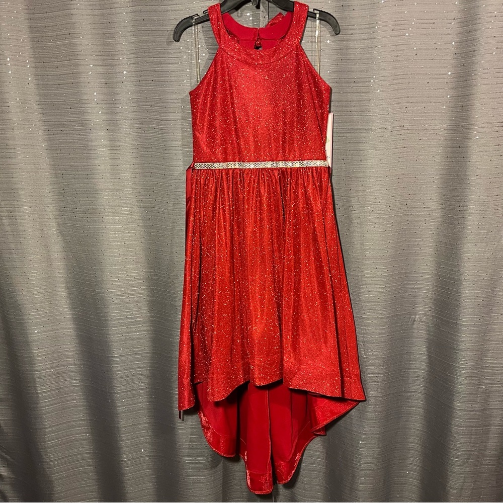 NWT Rare Editions Sparkly/Glittery‎ W/Jewelry Belt & Lace Dress Size 16